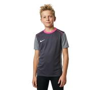 Nike T-shirt à Manches Courtes Dri-fit Academy Pro 24