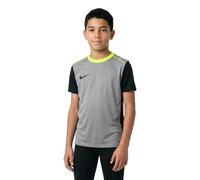 Nike T-shirt à Manches Courtes Dri-fit Academy Pro 24