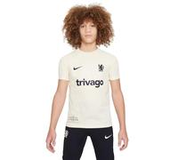 Nike Unisex Kids Shirt CFC Ynk DF Acdprsstopgxseinfpm, Natural/Pitch Blue, FN4256-121, L