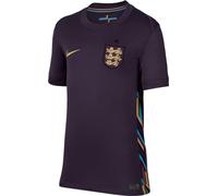Nike Unisex Kids Shirt Ent Y NK DF Stad JSY SS Aw, Dark Raisin/Sesame, FJ4368-573, XL