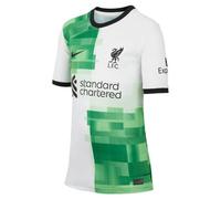 Nike Unisex Kids Shirt LFC Y NK DF Stad JSY SS Aw, White/Green Spark/Black, DX2764-101, XS