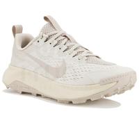 Nike Wildhorse 10 Gris/argent 43
