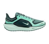 Nike - Women's Pegasus 41 GTX Road Running Shoes - Chaussures de running - EU 40 - cannon / bleached turq / barely