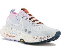 Nike Zegama Trail 2 Chaussures de sport femme Zegama Trail 2 40.5 Gris/argent