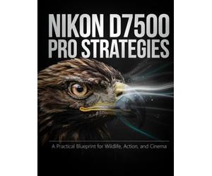 Nikon D7500 Pro Strategies: A Practical Blueprint for Wildlife, Action, and Cinema