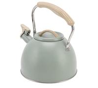 Nikou Théière sifflante de 3 L, bouilloire en acier inoxydable à fond plat avec poignée en plastique technique pour un usage domestique, design moderne, fonction sifflement vert clair