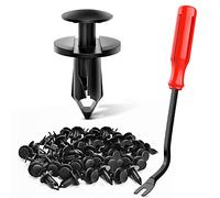 Nilight Lot de 100 rivets en nylon pour pare-chocs GM 21030249 pour Ford N807389S pour Chrysler 6503598, 1 extracteur de fixation en bonus