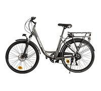 Nilox J5 Plus Electric Bike Argenté One Size / 346Wh Gray