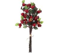 Niltracy Lot de 5 bouquets de baies de grenade artificielles - Fleurs de grenade - Branches de baies de cynorrhodon artificielles - Décoration florale (rouge)