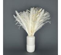 Nina-Maria's Deko Gold Bouquet Fleurs Séchées Naturelles - Pampas Séchées Décoration XXL - Herbe de la Pampa pour Mariage et Automne