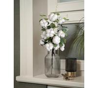 Nina-Maria's Deko Gold Branche de Coton réelle, 1 Tige avec 4 Fleurs chacune, décoration Branche de Coton Blanche séchée pour vases, Bouquet Fleurs séchées, Mariage ou décoration Table.