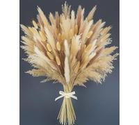 Nina-Maria's Deko Gold Fleurs Séchées Naturelles, Bouquet Fleurs Séchées Naturelles, Pampa Herbe & Herbe de la Pampa, Fleur de Pampa, Fleur Séchée Mariage, Pampas Séchées Décoration Naturelle XXL