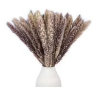 Nina-Maria's Deko Gold Herbe de la Pampa Séchée - 15 Fleurs de Pampa Marron pour Décoration | Pampas Séchées Décoratives