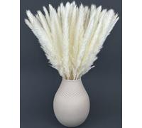 Nina-Maria's Deko Gold Herbe de Pampa Blanche - Pampas Décoratives Naturelles Grandes et Petite (30 pièces) - Fleurs Séchées pour Vase - Déco Bohème Chic Maison & Mariage - Pampas Sechees Decoration