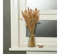 Nina-Maria's Deko Gold Queue de Lapin en Herbe séchée (Naturel), séchée Fleurs séchées Déco Fleurs Grande, Déco Boho, Séchées I Décoration de Table