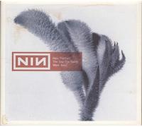 Nine Inch Nails - Day The World Went Away