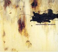 NINE INCH NAILS - NINE INCH NAILS-THE DOWNWARD SPIRAL