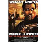 Nine Lives - On The Run And Out Of Time