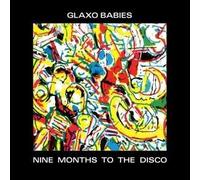 Nine Months To The Disco
