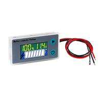 NInE-ROnG Moniteur de Capacité de Batterie Programmable Voltmètre de Chariot de Golf avec Alarme de Buzzer basse Tension pour Batterie Plomb-acide 10-100V Batterie au Lithium fer Phosphate