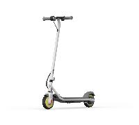 Ninebot by Segway Zing C10 16 km/h Gris 2,5 Ah