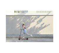 Trottinette Électrique Enfant Ninebot By Segway C15e