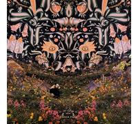 Ninety Day Men - Panda Park [Import]