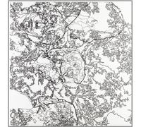 Ninety Day Men - to Everybody [Import]