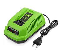Niniang Chargeur de Batterie au Lithium 40V pour GreenWorks 29482 G-MAX 40V Batterie Li-Ion 29472 29482 29652 G40825 Prise EuropéEnne