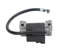 NINMORTH Carburateur de rechange pour bobine d'allumage pièces de moteur pour 397358 pour 395491 pour générateur 298316 395490 697037