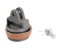 NINMORTH Piston de pompe à poignée type 75 avec joint en cuir, boulon et goupille fendue pour pompe manuelle de jardin, fonte grise, longueur 90 mm