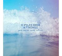 Nino Carlos & Friends - More Energy Fields, Current