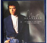 Nino de Angelo - If there is one thing that's forever / Vinyl single [Vinyl-Single 7'']