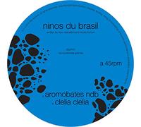 Ninos Du Brasil - Aromobates Nbd