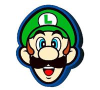 Nintendo Coussin Super Mario Bros 3d Luigi