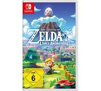 Nin The Legend Of Zelda: Link's Awake 06