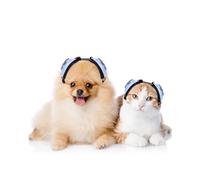 Ninuo Cache-oreilles apaisants pour chats et petits chiens - pour soulager l'anxiété - Suppression du bruit pour feux d'artifice, orages, toilettage des animaux de compagnie et séchage forcé