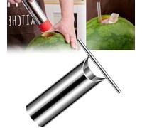 NIOIPXA Emporte-pièce en acier inoxydable, coupe-pastèque, ouvre-melon avec tranches de forme ronde (grand)