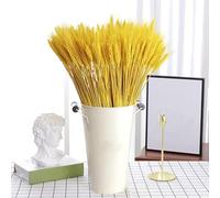 Niooce 100pcs Épis de blé séchés naturels de blé séché, pour accessoires de bouquet, décorations de maison ou de fête 40cm jaune doré