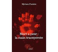 Niort a peur : la main transpercée