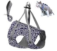 Niowatchted Cat Vest Harness and Leash, Anti-Break Away Chest Strap Cat Clothes, Escape Proof Harnesses Come with Adjustable Straps for Large and Small Kittens Dogs (Blue,XS)