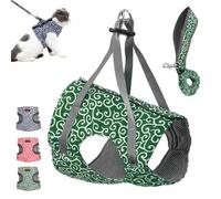 Niowatchted Cat Vest Harness and Leash, Nio Watchted Cat Dogs Vest Harness. Soft, Breathable and Comfortable Double Lock Buckle for Safe Traction (Green)