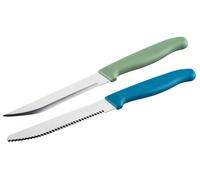 Nirosta 43999 Set 2 couteaux d’office et à petit déjeuner 22,5 cm, Lames Dentelée et Lisse, pour Légumes Fruits et Fromages, Pains, Viennoiseries, Manche Antidérapant, Acier Inoxydable, PP, Bleu, Vert