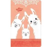 NIrV Adventure Bible for Early Readers Leathersoft Coral Full Color Thumb Indexed Tabs - Lawrence O. Richards - Zondervan - Livre en Anglais - Leather fin Lawrence O. RichardsLawrence O. Richards (Aut