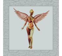 In Utero 30th Anniversary Édition Limitée Deluxe Coffret