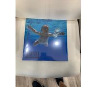 NIRVANA LP NEVERMIND Neuf Et Scellé 2015 Fabriqué En France