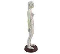 Nishiyuenyi Modèle D'acupuncture, Humain, Exposition Pédagogique, PVC, étiquetage Des Points de Vue, Méridiens, Sculpture Didactique pour La Formation Thérape, Femelle