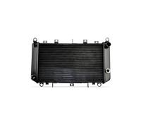 Nissens Radiateur du moteur 640941