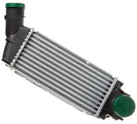 NISSENS Refroidisseur d'air de suralimentation 96720 | Compatible avec: CITROËN C4 Coupe, C4 I, C4 I Stufenheck, PEUGEOT 307, 307 Break, 307 CC, 307 SW