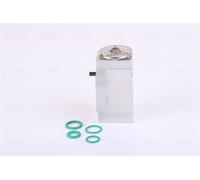 NISSENS Vanne D'Expansion Climatisation R 134A Pour Audi A6 Avant 4G5 C7 4GD